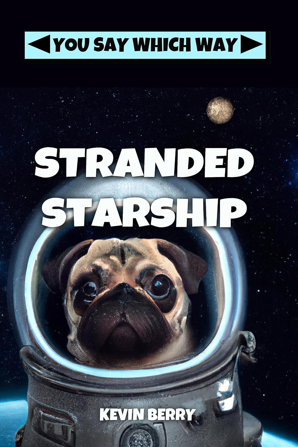 Stranded Starship